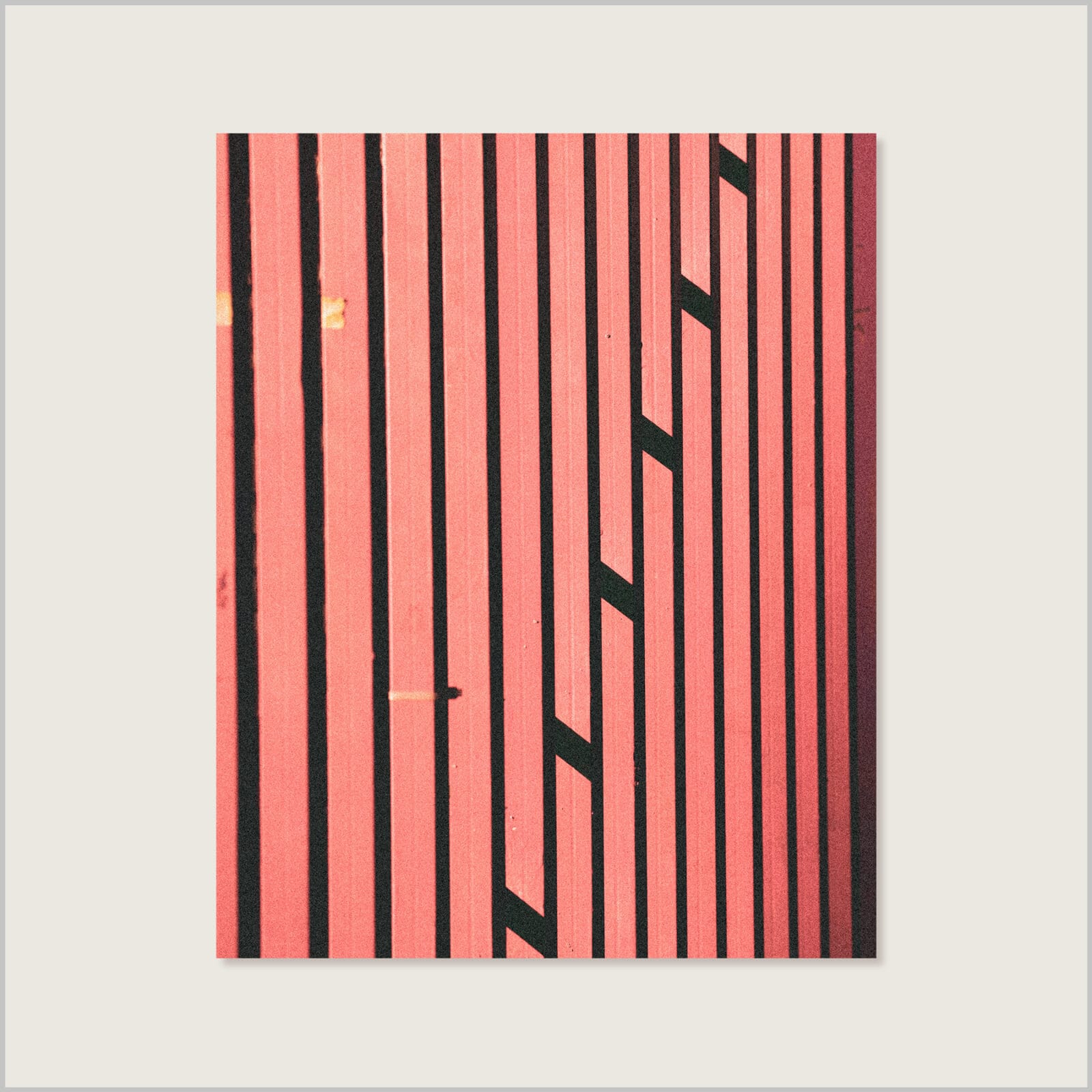 Sense: Morning Light (Limited Edition)