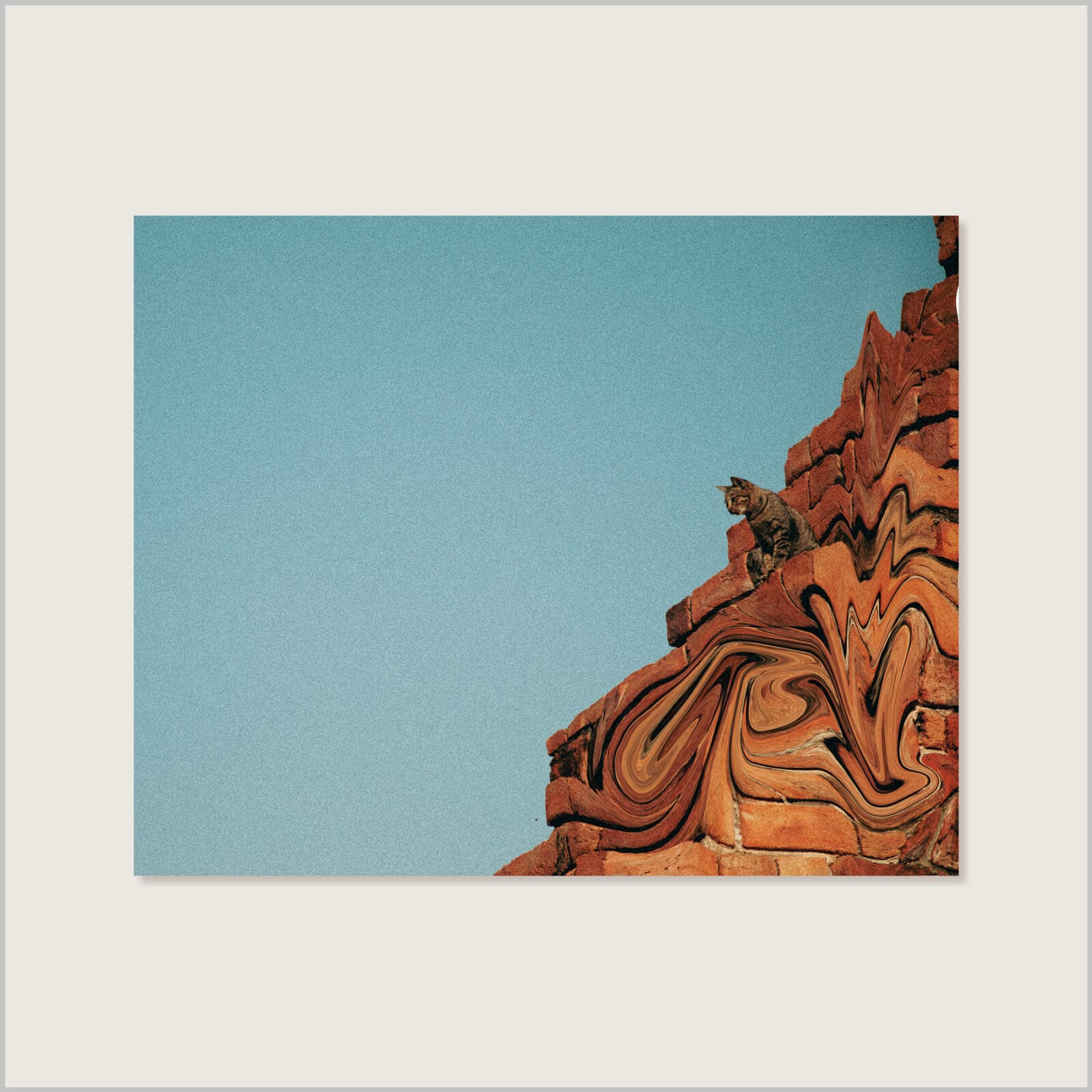 Sense: The Psychedelic Cat (Limited Edition)