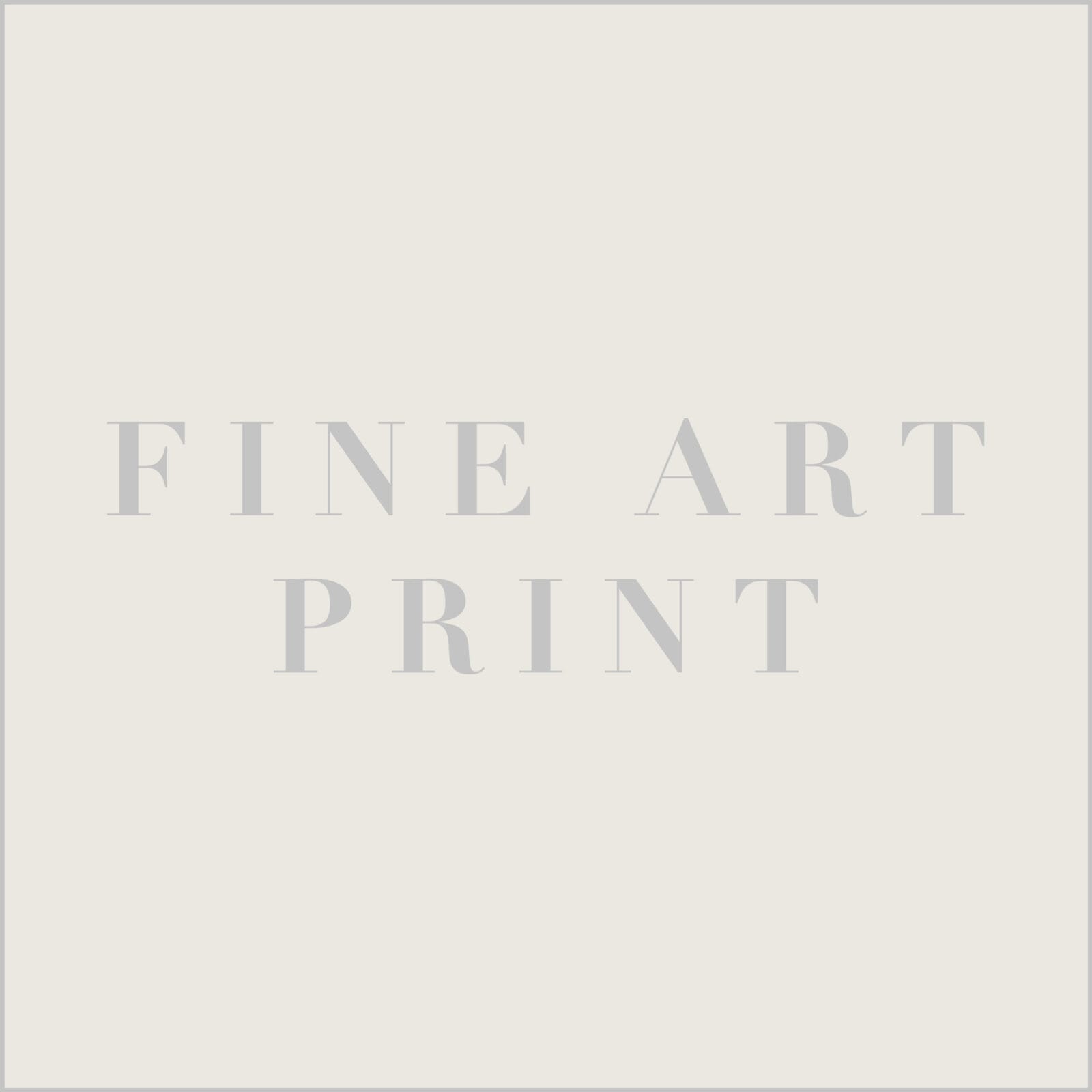 Fine Art 50 x 70 cm