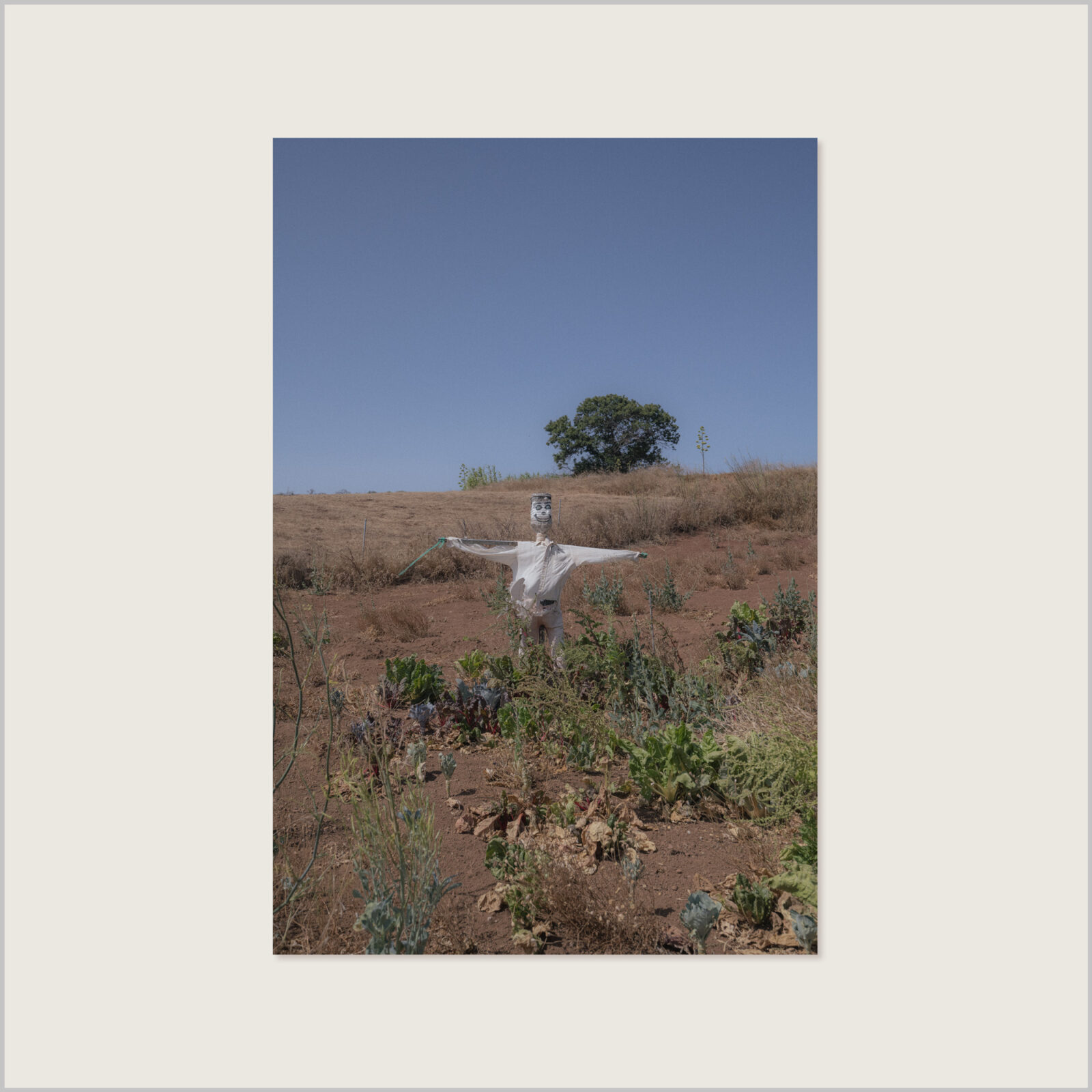 Scarecrow - Limited Photo Art - Fine Art Photography - Fotokunst af Christian Askjær - Fotograf - Copenhagen-baed Photographer